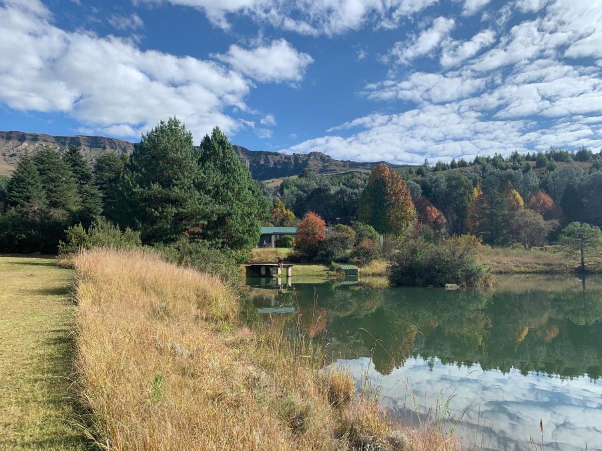 Apartamento Brackenburn Trout And Trail Retreat Elandskop Exterior foto