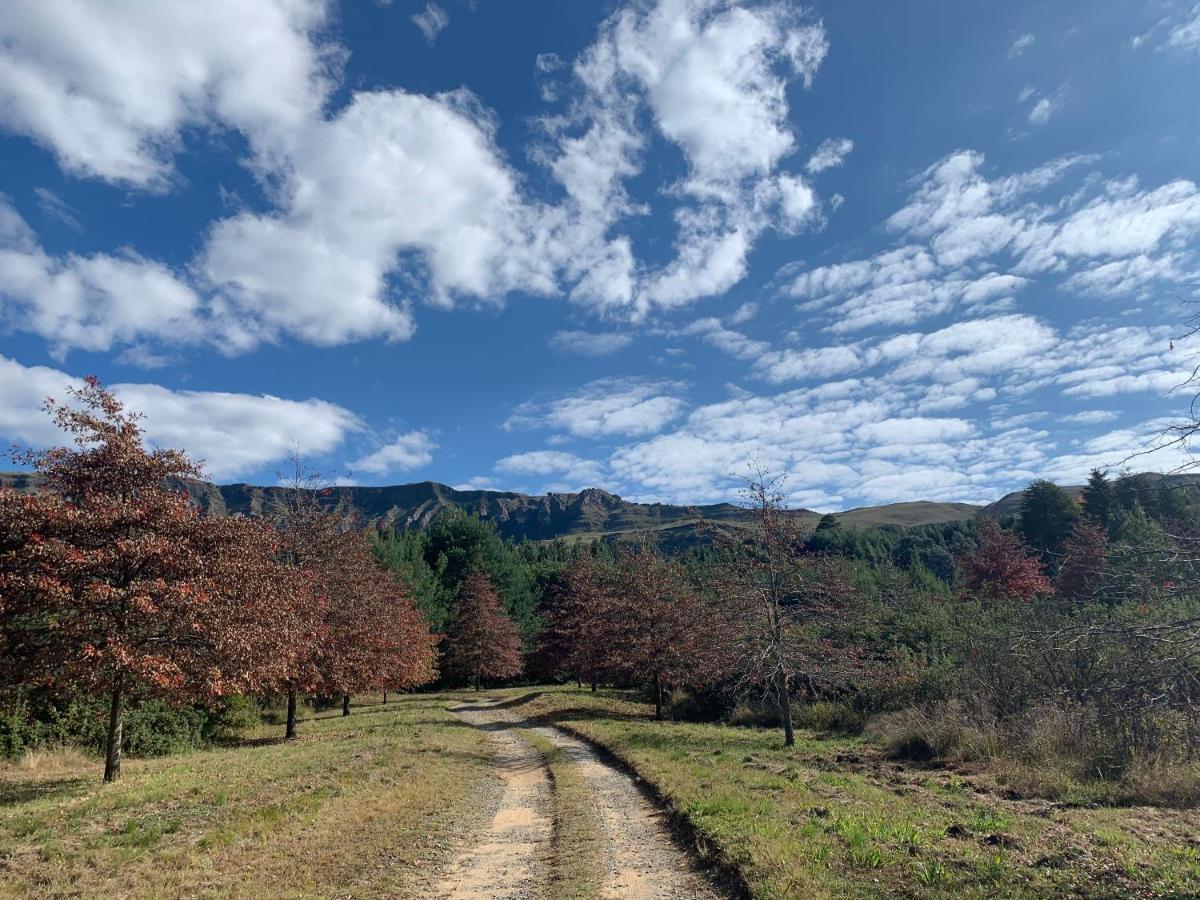 Apartamento Brackenburn Trout And Trail Retreat Elandskop Exterior foto